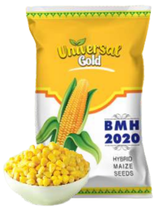 most widely grown cereal grains